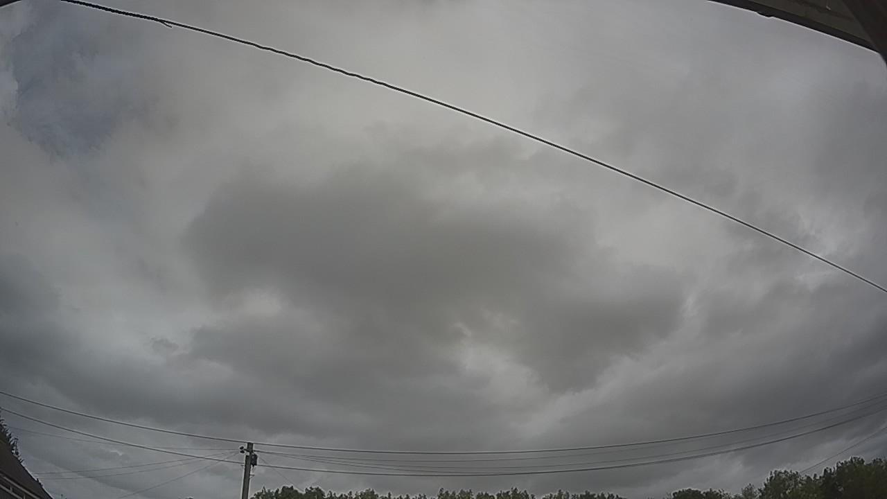 20260804_111431_cam2.jpg