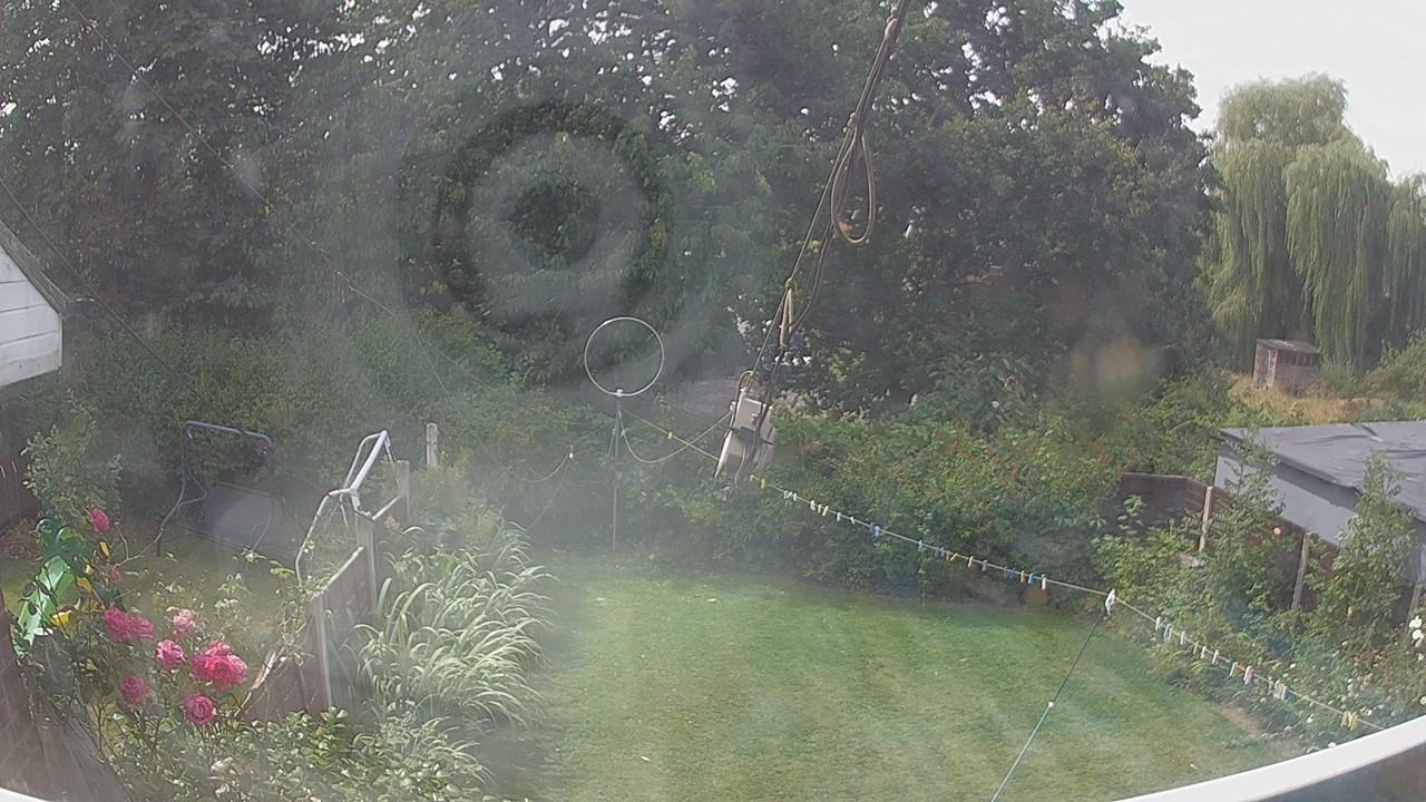 20260804_113050_cam1.jpg