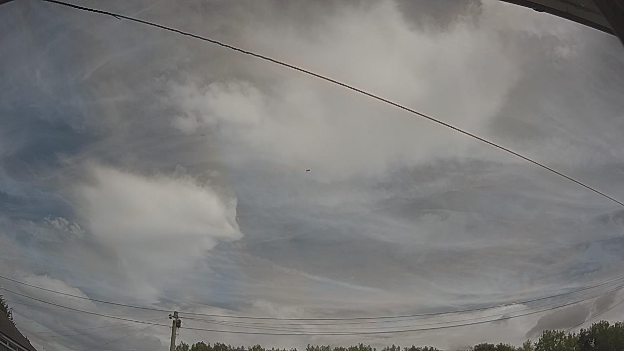 20260804_113051_cam2.jpg