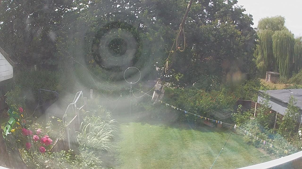 20260804_113442_cam1.jpg