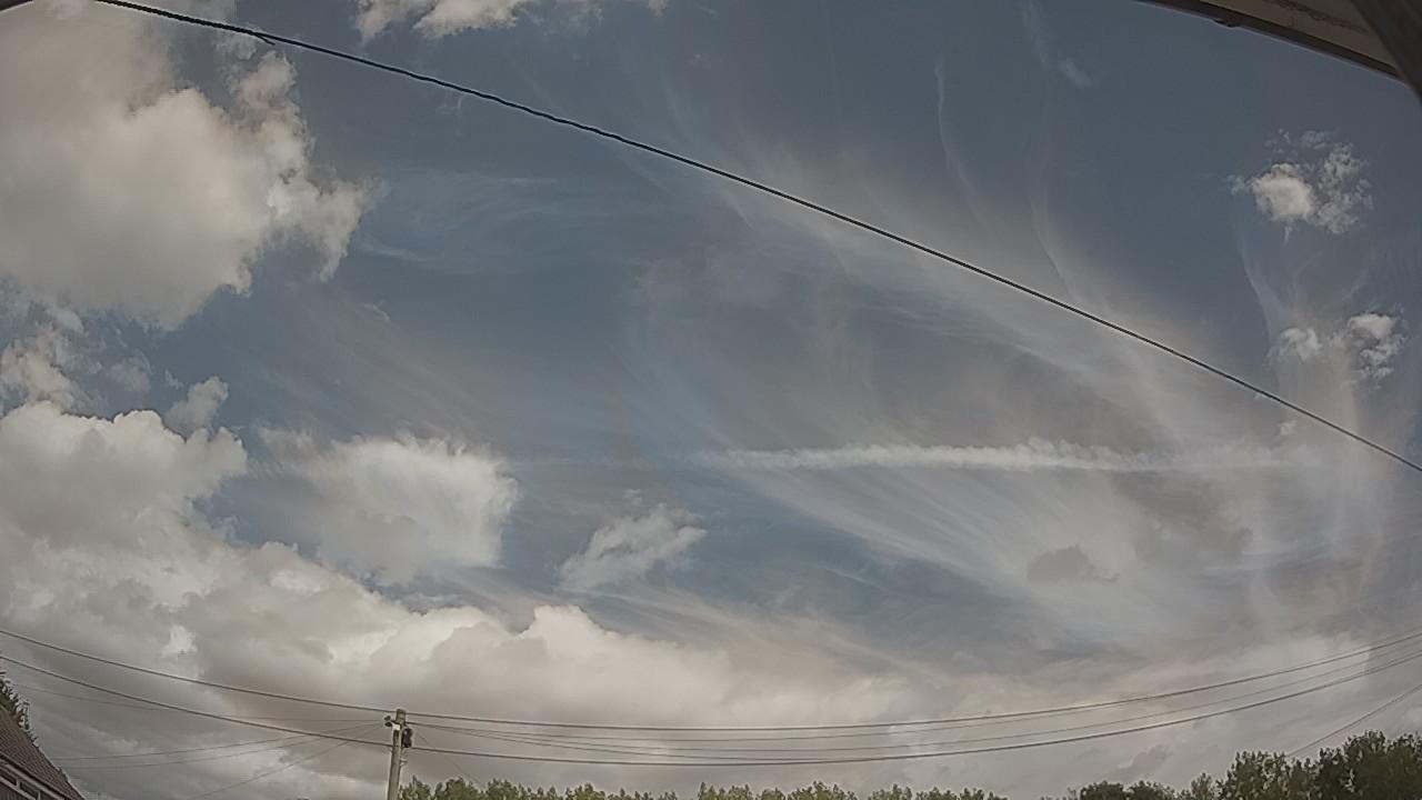 20260804_115007_cam2.jpg