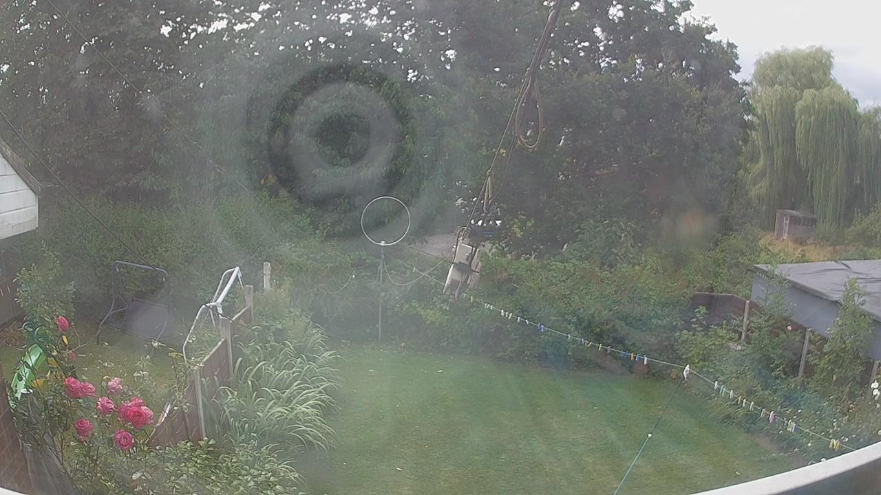 20260804_115357_cam1.jpg