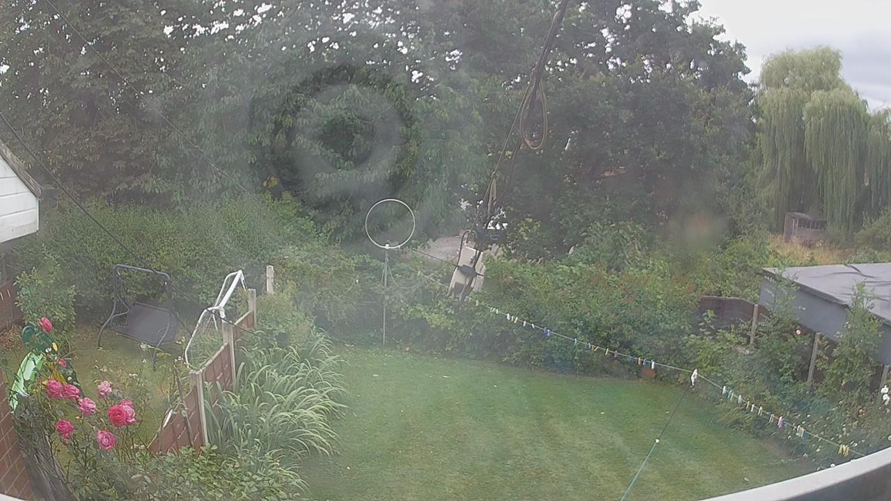 20260804_120549_cam1.jpg
