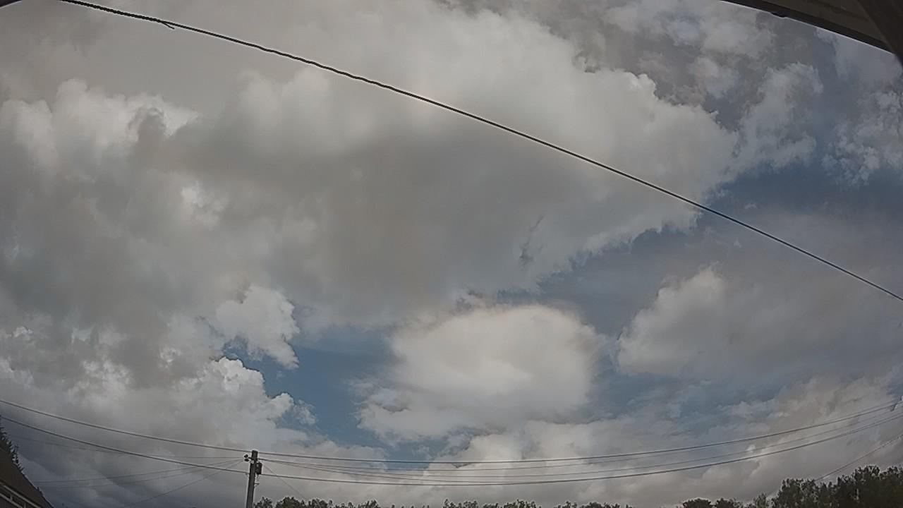 20260804_120550_cam2.jpg