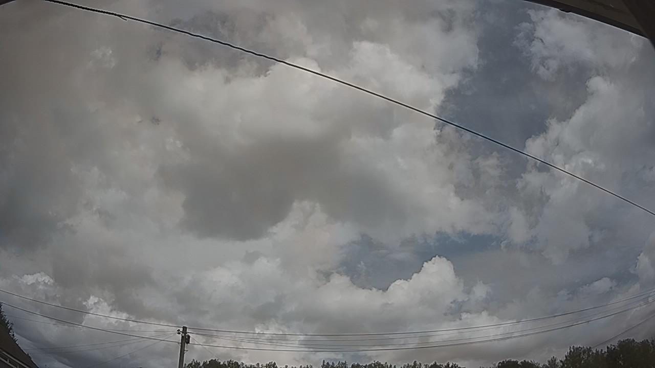 20260804_120950_cam2.jpg