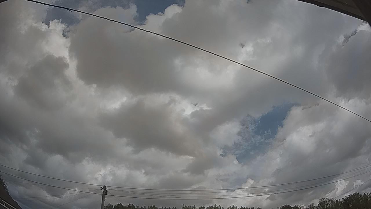 20260804_121751_cam2.jpg