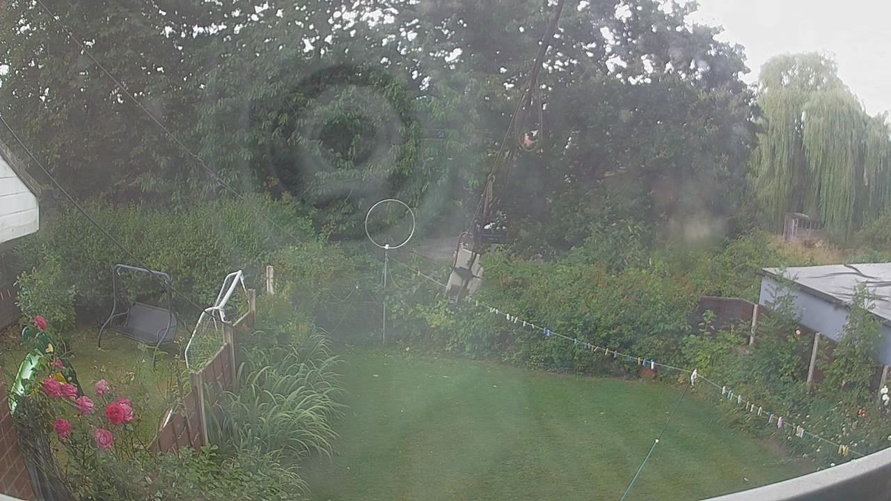 20260804_124636_cam1.jpg