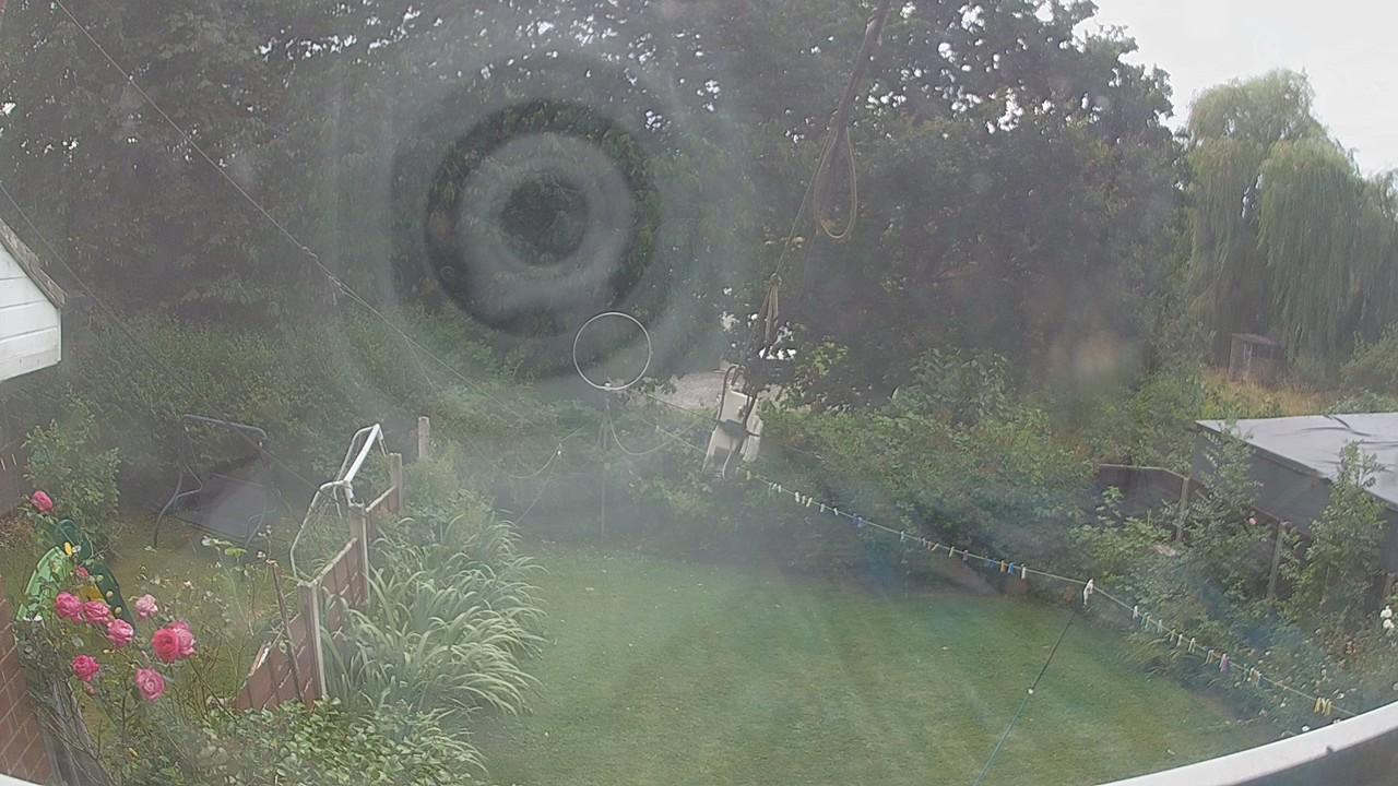 20260804_125045_cam1.jpg