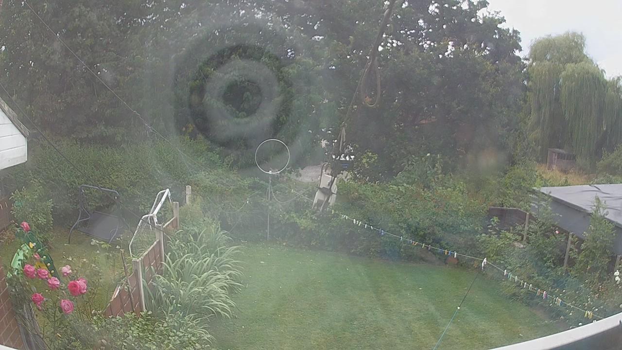 20260804_125454_cam1.jpg