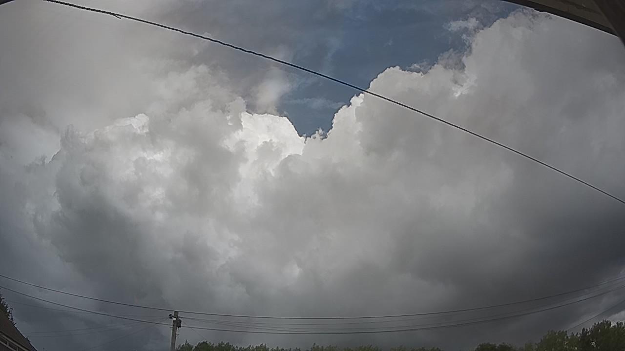 20260804_125455_cam2.jpg