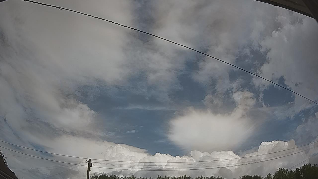 20260804_130600_cam2.jpg