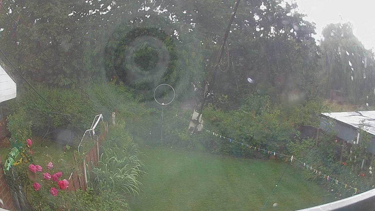 20260804_133609_cam1.jpg