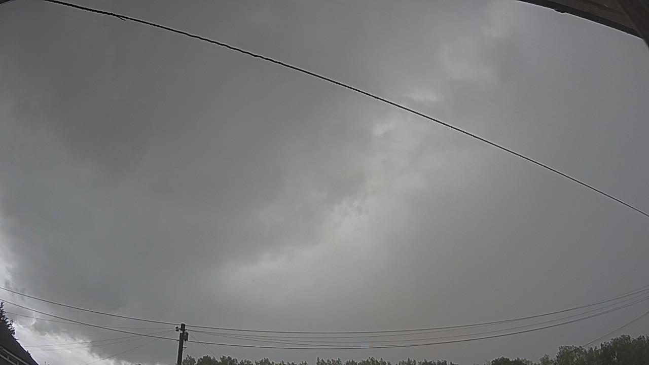 20260804_133610_cam2.jpg
