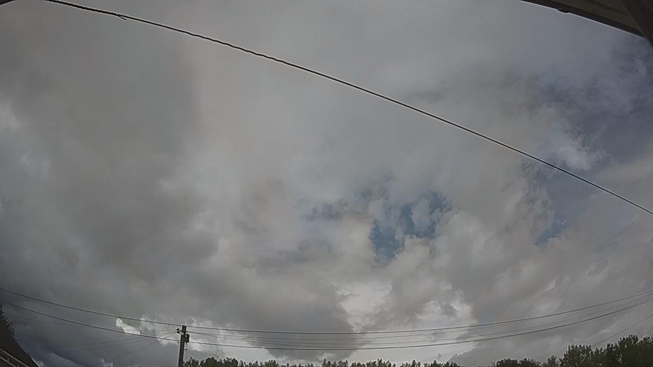 20260804_141743_cam2.jpg