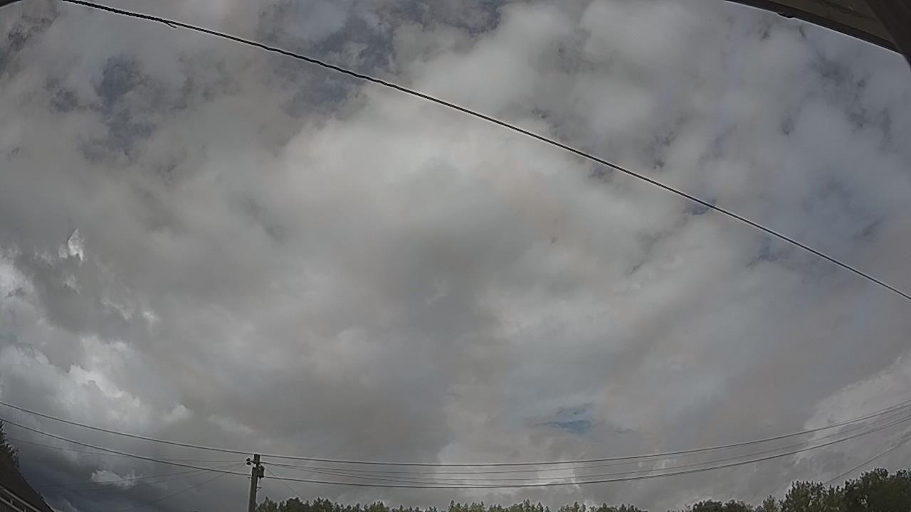 20260804_142202_cam2.jpg