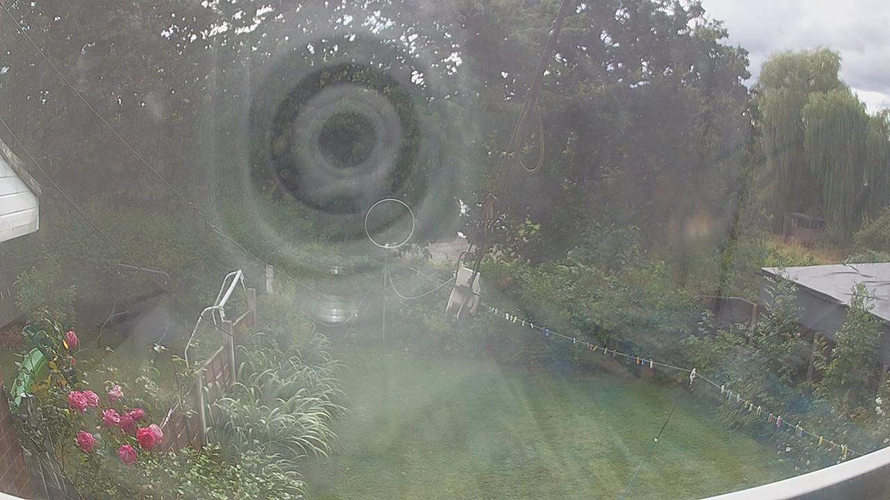 20260804_142619_cam1.jpg