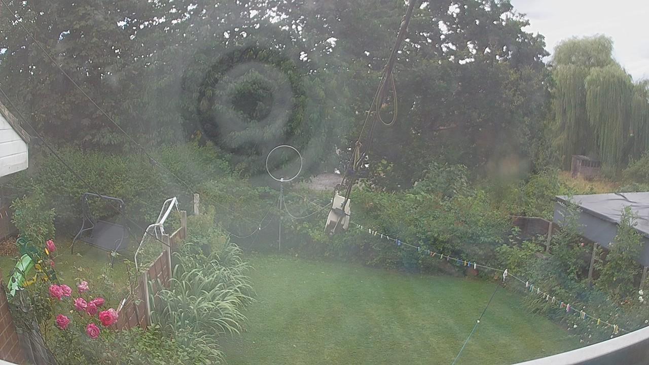 20260804_145137_cam1.jpg