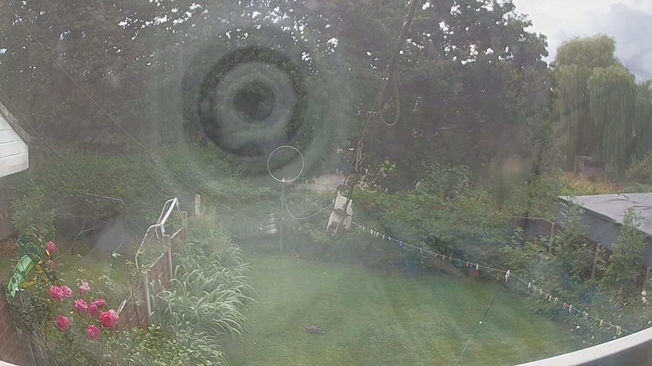20260804_145529_cam1.jpg