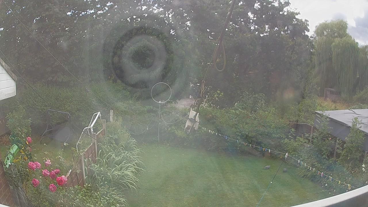 20260804_145919_cam1.jpg