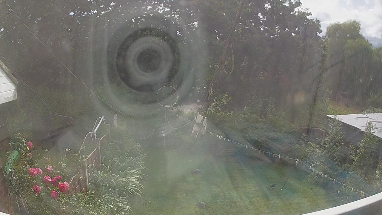 20260804_150320_cam1.jpg