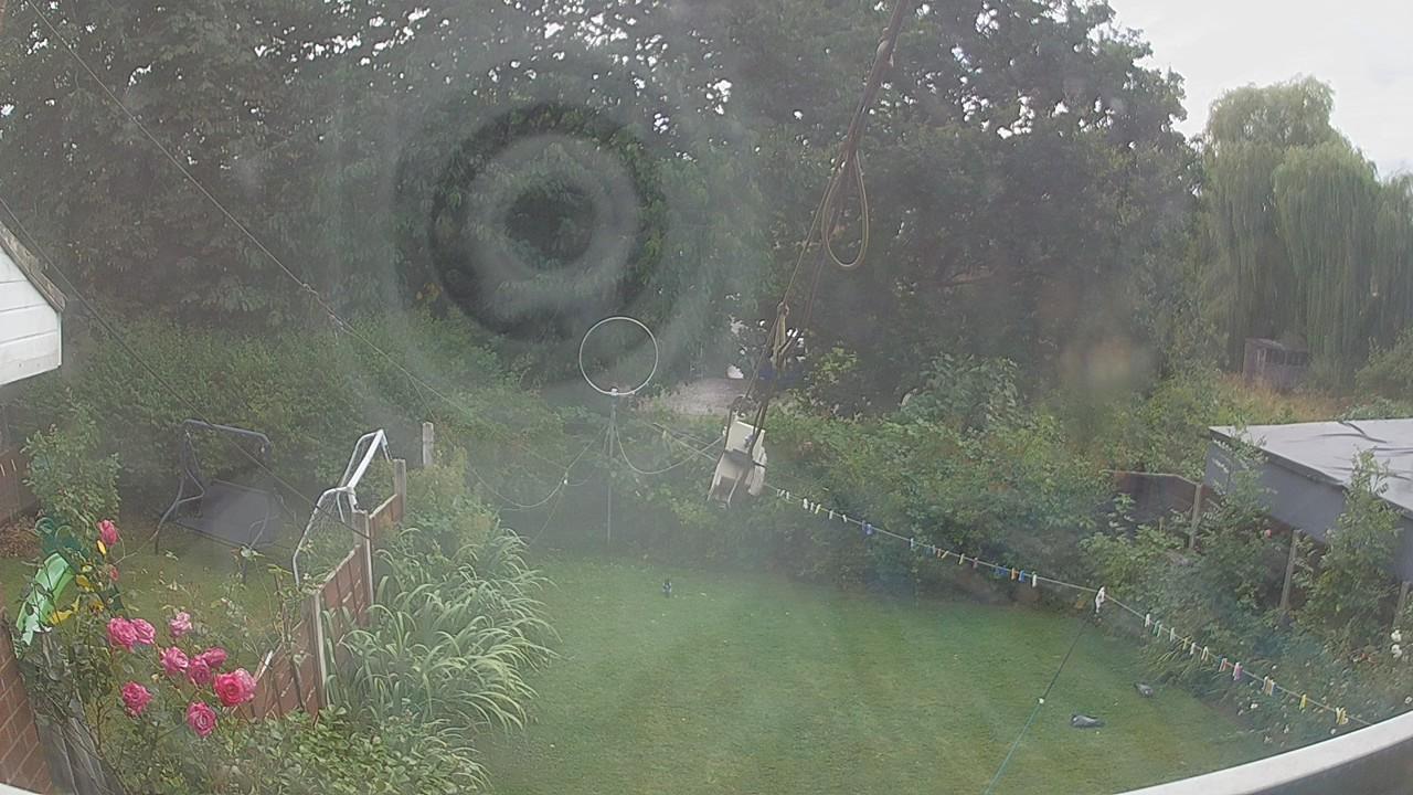 20260804_153101_cam1.jpg