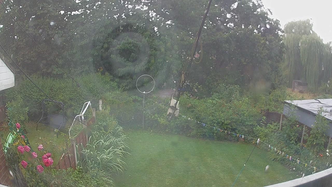 20260804_164408_cam1.jpg
