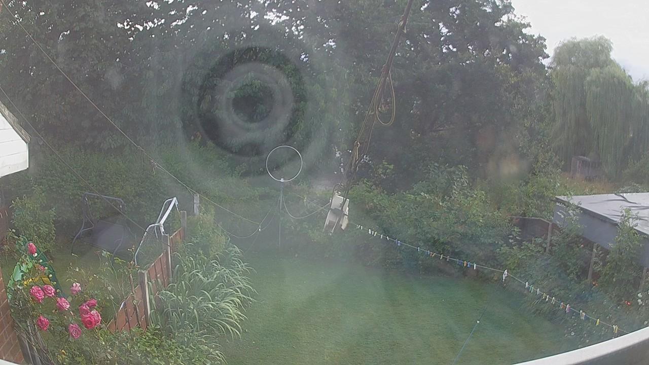 20260804_181107_cam1.jpg