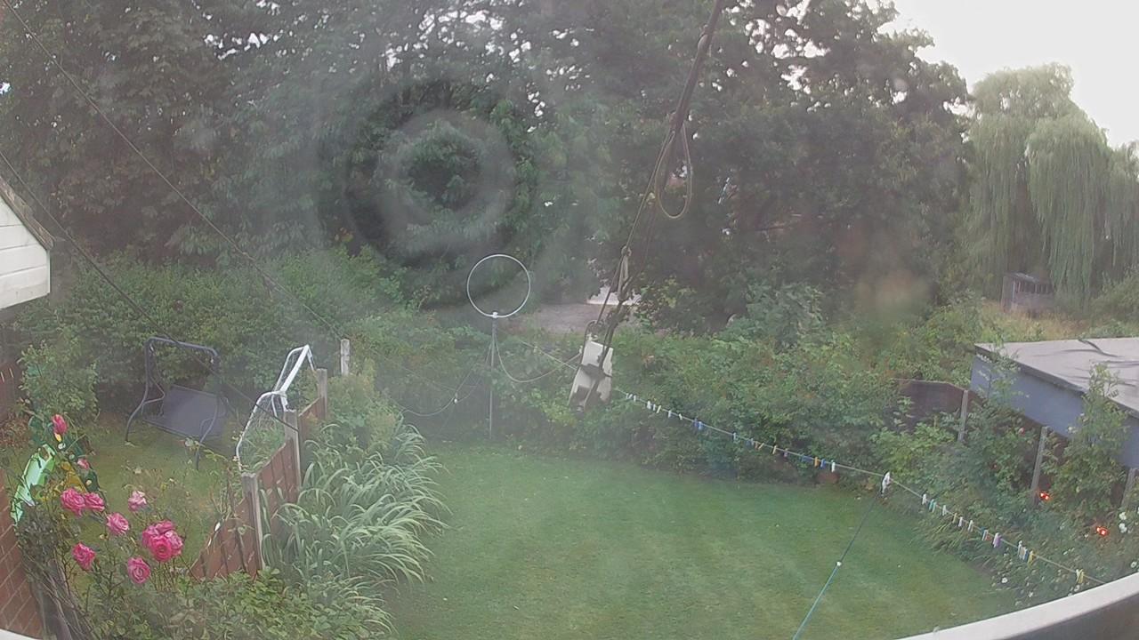 20260804_190129_cam1.jpg