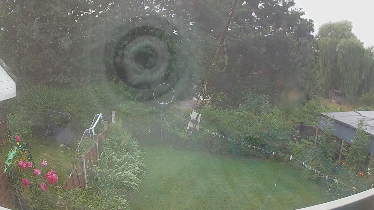 20260804_190724_cam1.jpg