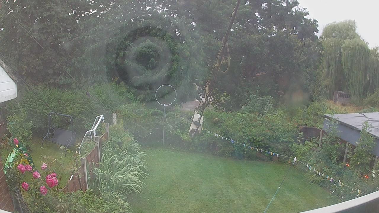 20260804_191021_cam1.jpg
