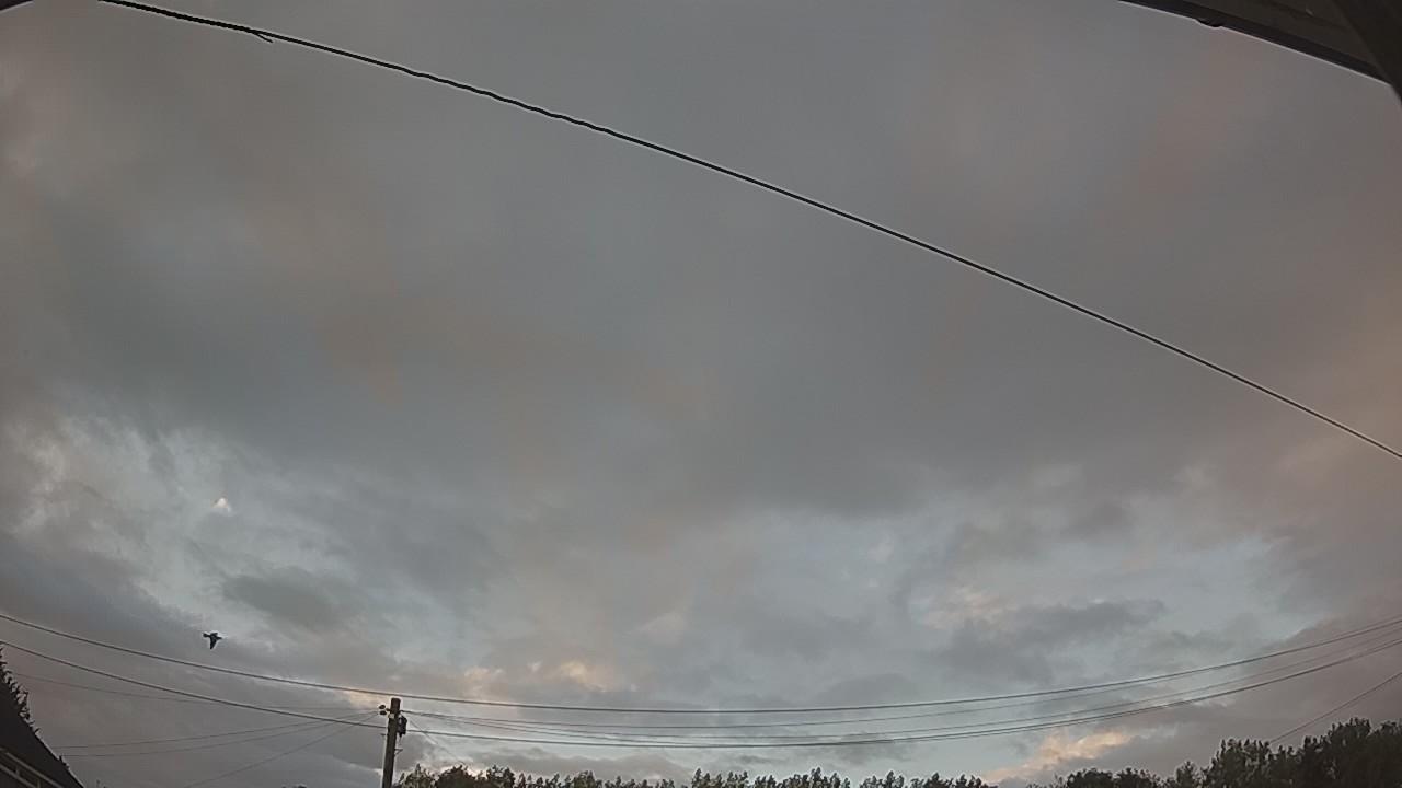 20260804_192859_cam2.jpg