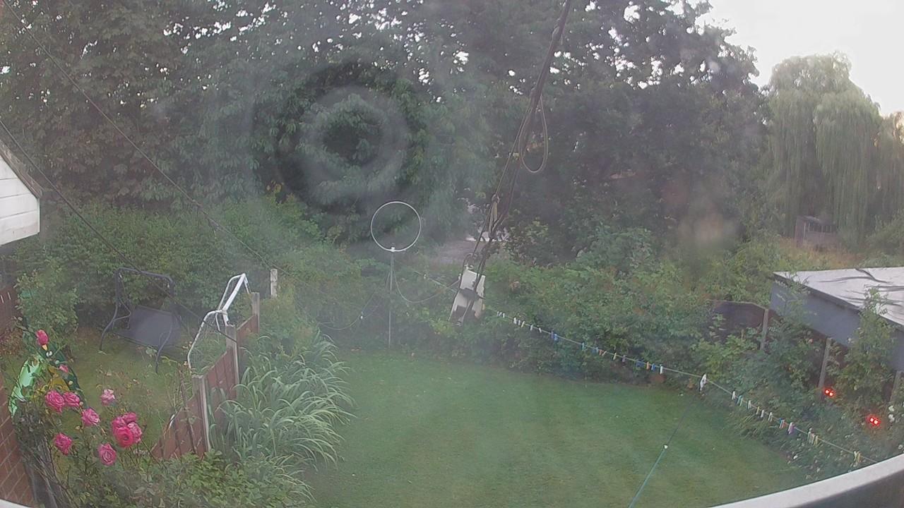 20260804_195205_cam1.jpg