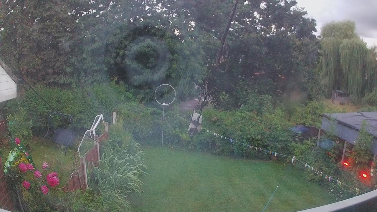 20260804_201420_cam1.jpg