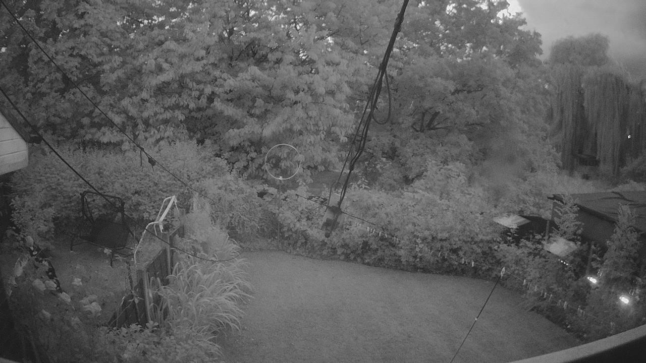 20260804_203254_cam1.jpg