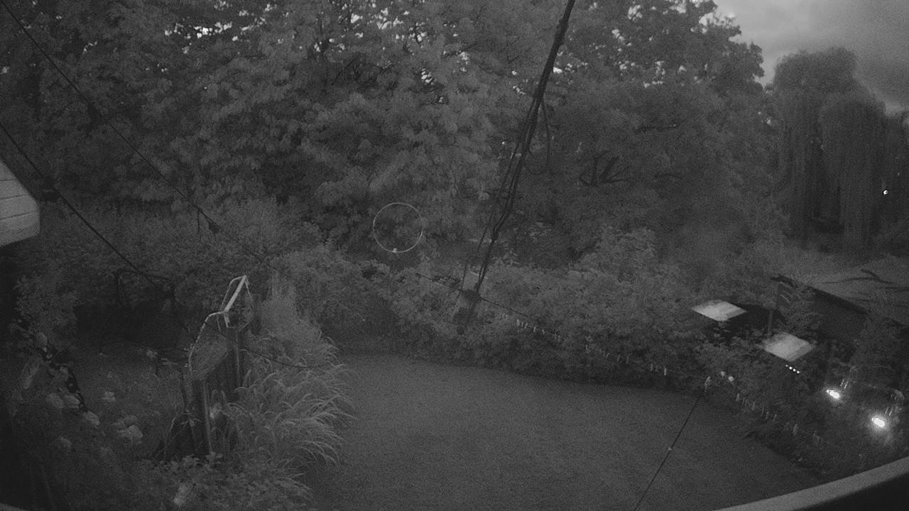 20260804_203738_cam1.jpg