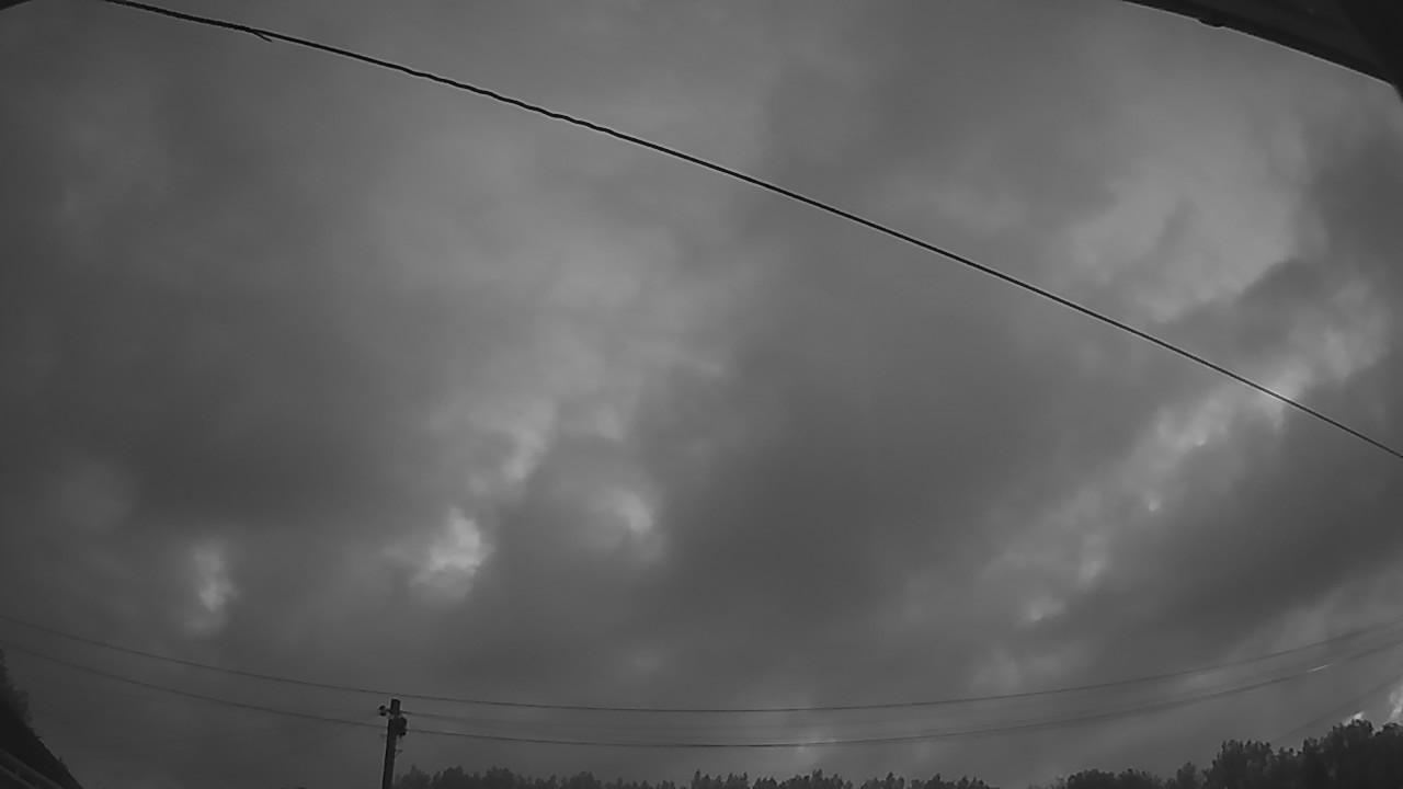 20260805_035558_cam2.jpg