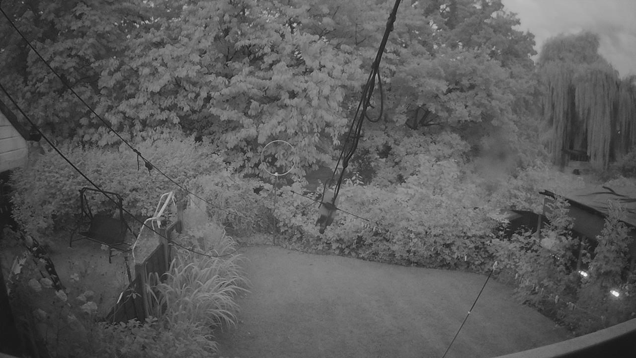 20260805_040033_cam1.jpg
