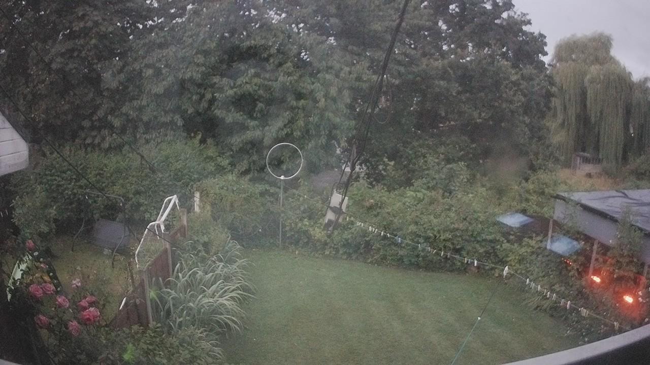 20260805_040510_cam1.jpg