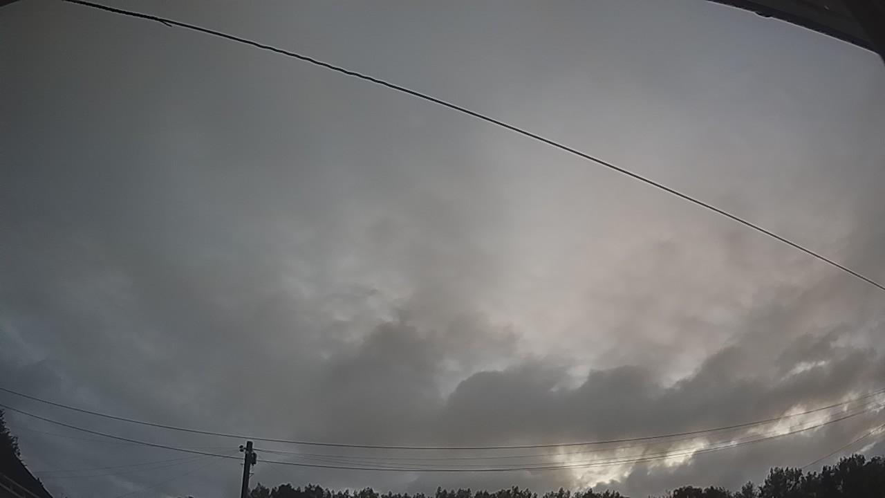20260805_040511_cam2.jpg