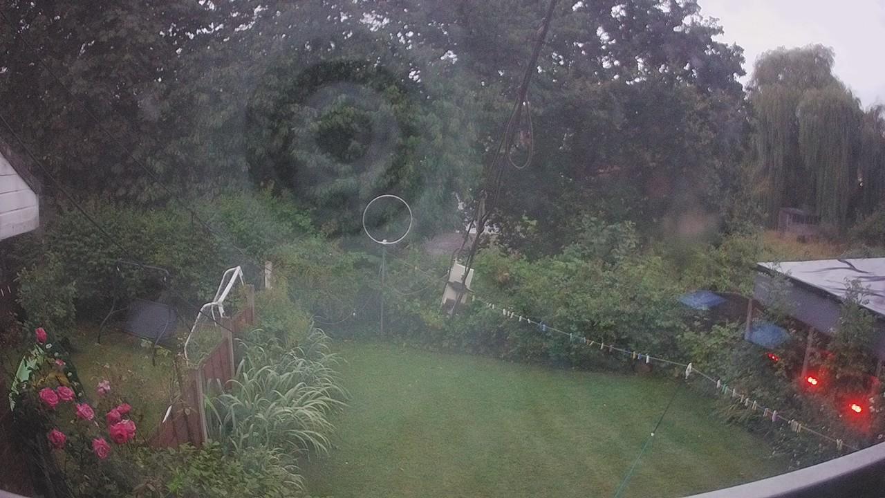 20260805_041422_cam1.jpg