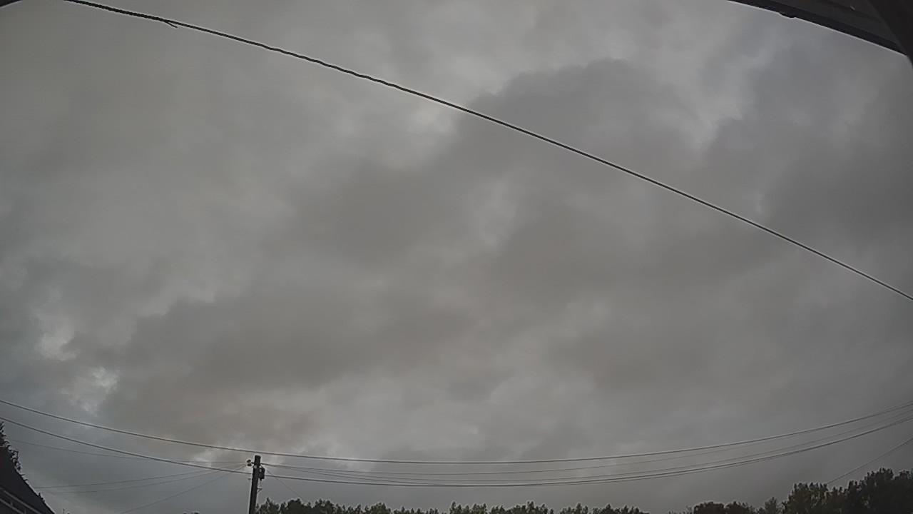 20260805_041901_cam2.jpg