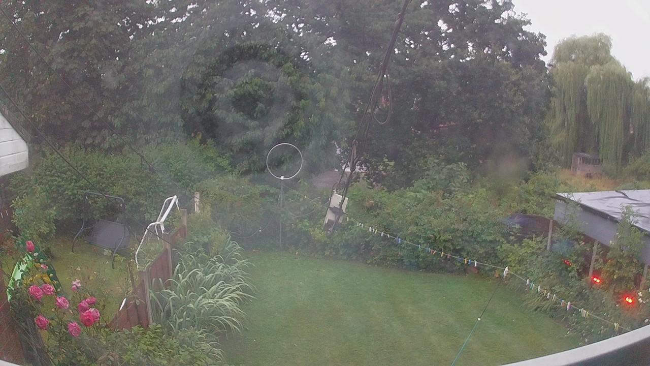20260805_042336_cam1.jpg