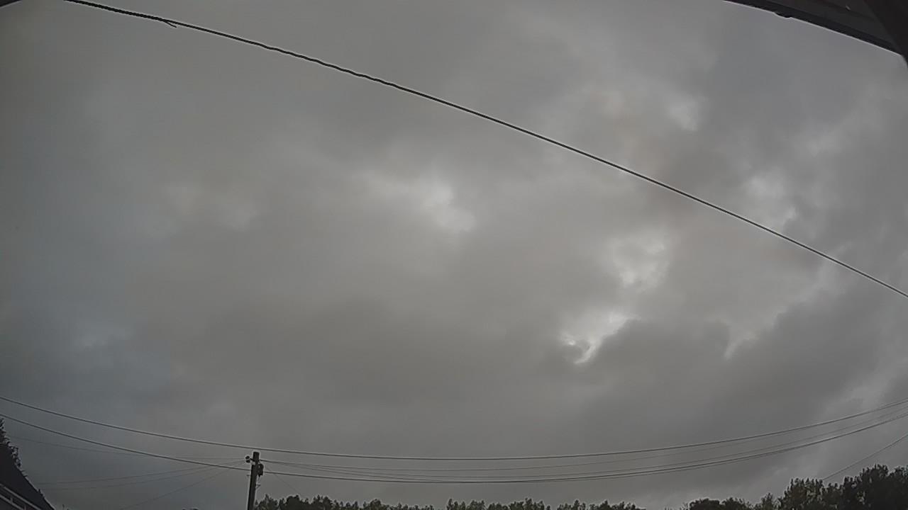 20260805_042337_cam2.jpg