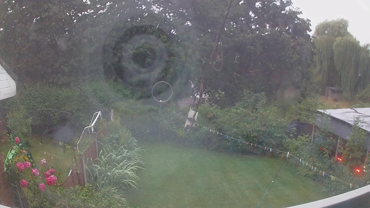 20260805_042813_cam1.jpg