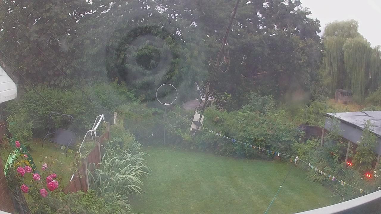 20260805_043249_cam1.jpg