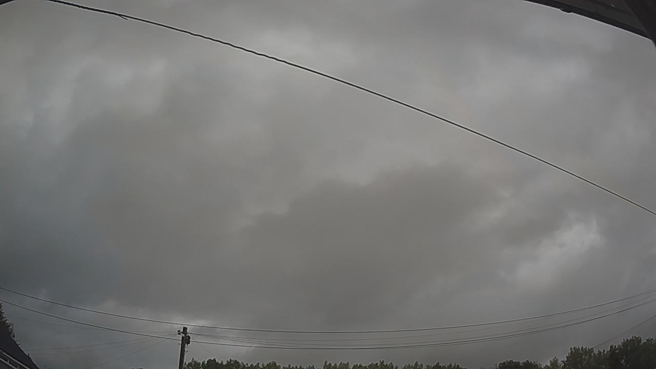 20260805_043250_cam2.jpg