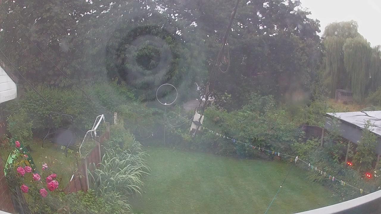 20260805_043726_cam1.jpg