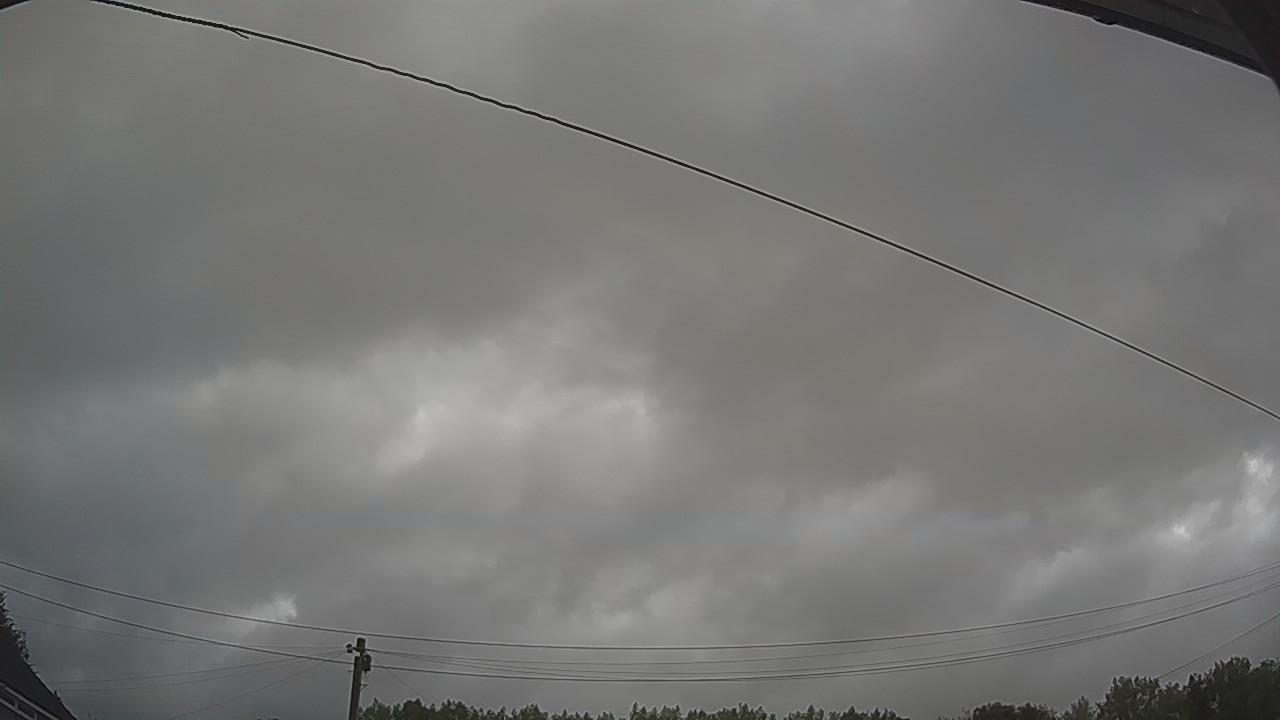 20260805_043727_cam2.jpg