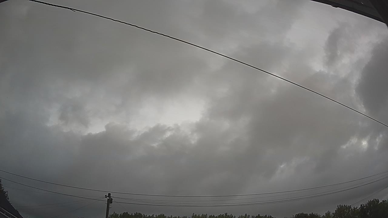 20260805_044203_cam2.jpg