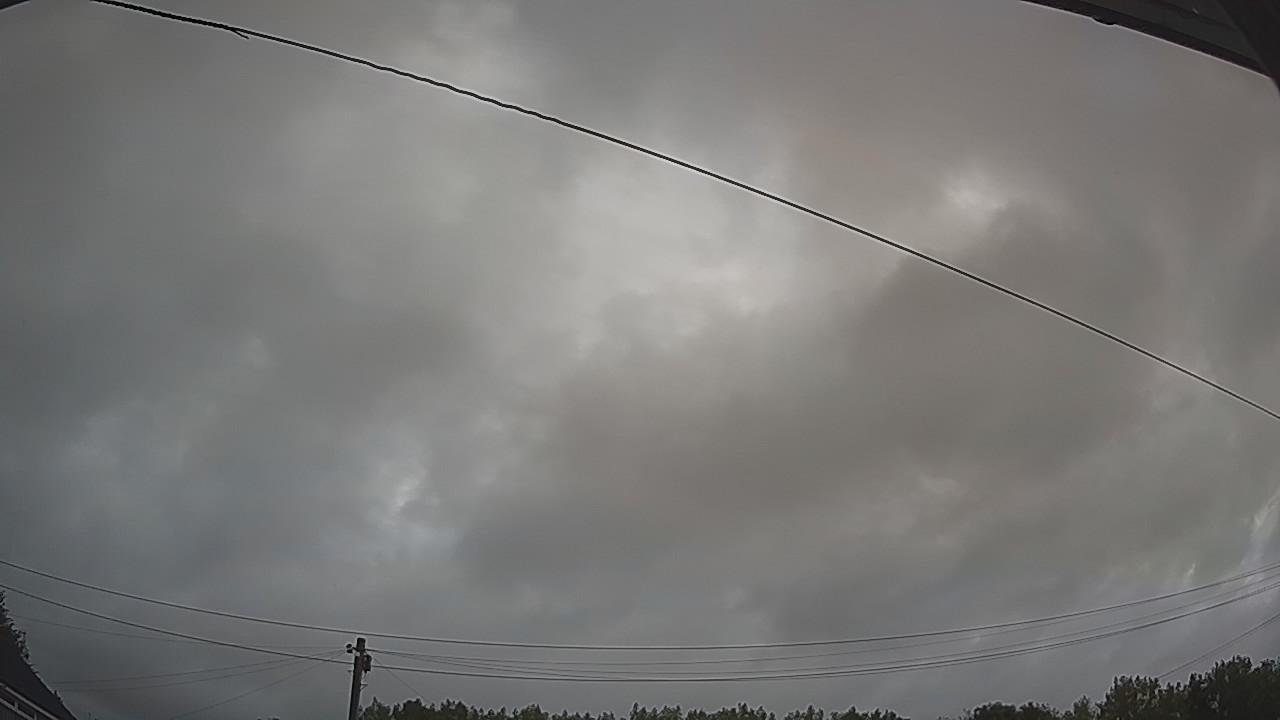 20260805_045115_cam2.jpg
